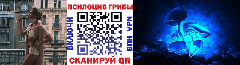 hydra зеркало  Демидов  Псилоцибиновые грибы Psilocybe 